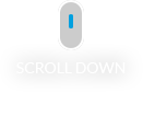 scroll down